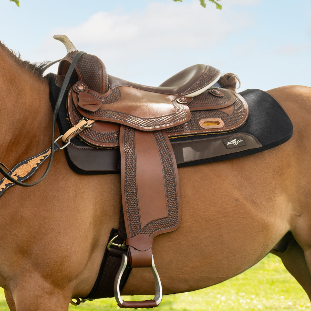 Tapis de selle western en feutre confortable pressé à la vapeur Professional's Choice