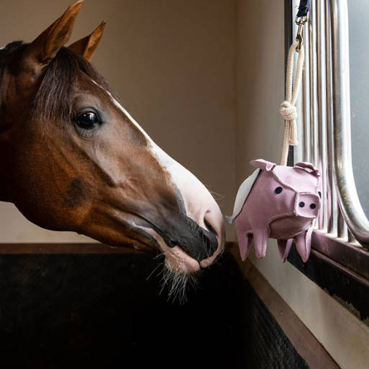 LeMieux Flying Pig Horse Toy