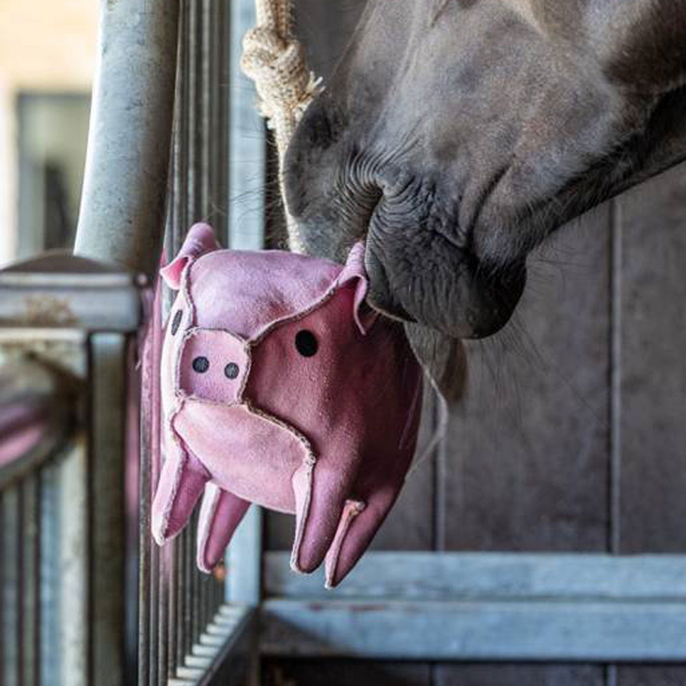 Flying Pig　フライングピッグ　レトロなおもちゃ？　玩具　※ジャンクです LeMieux Flying Pig Horse Toy – Greenhawk Equestrian Sport