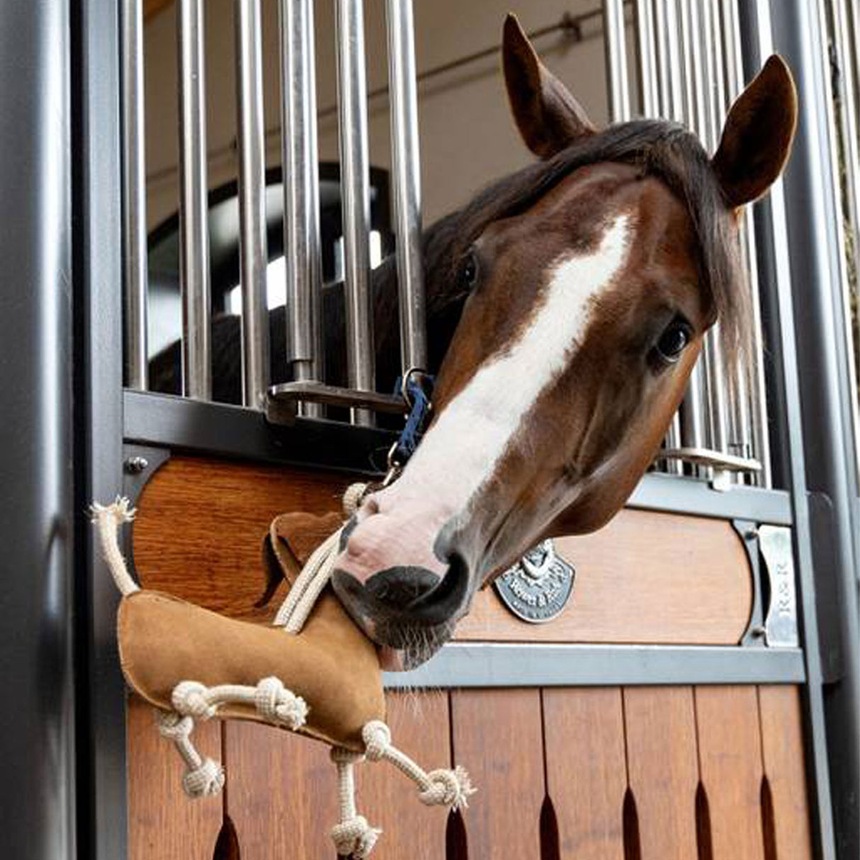 Jouet cheval pour chien saucisse LeMieux