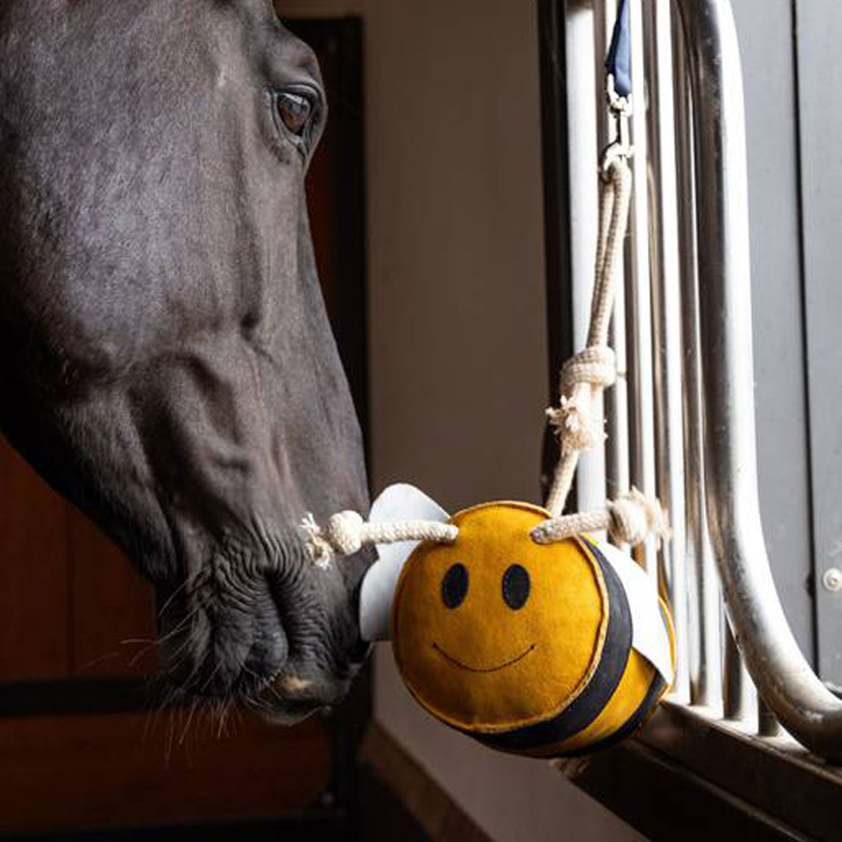 LeMieux Bumble Bee Horse Toy