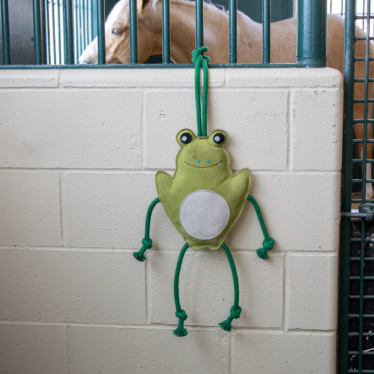 Cheval Grenouille en Jouet Holland James