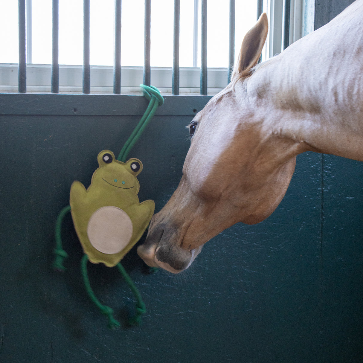 Cheval Grenouille en Jouet Holland James