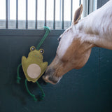 Cheval Grenouille en Jouet Holland James