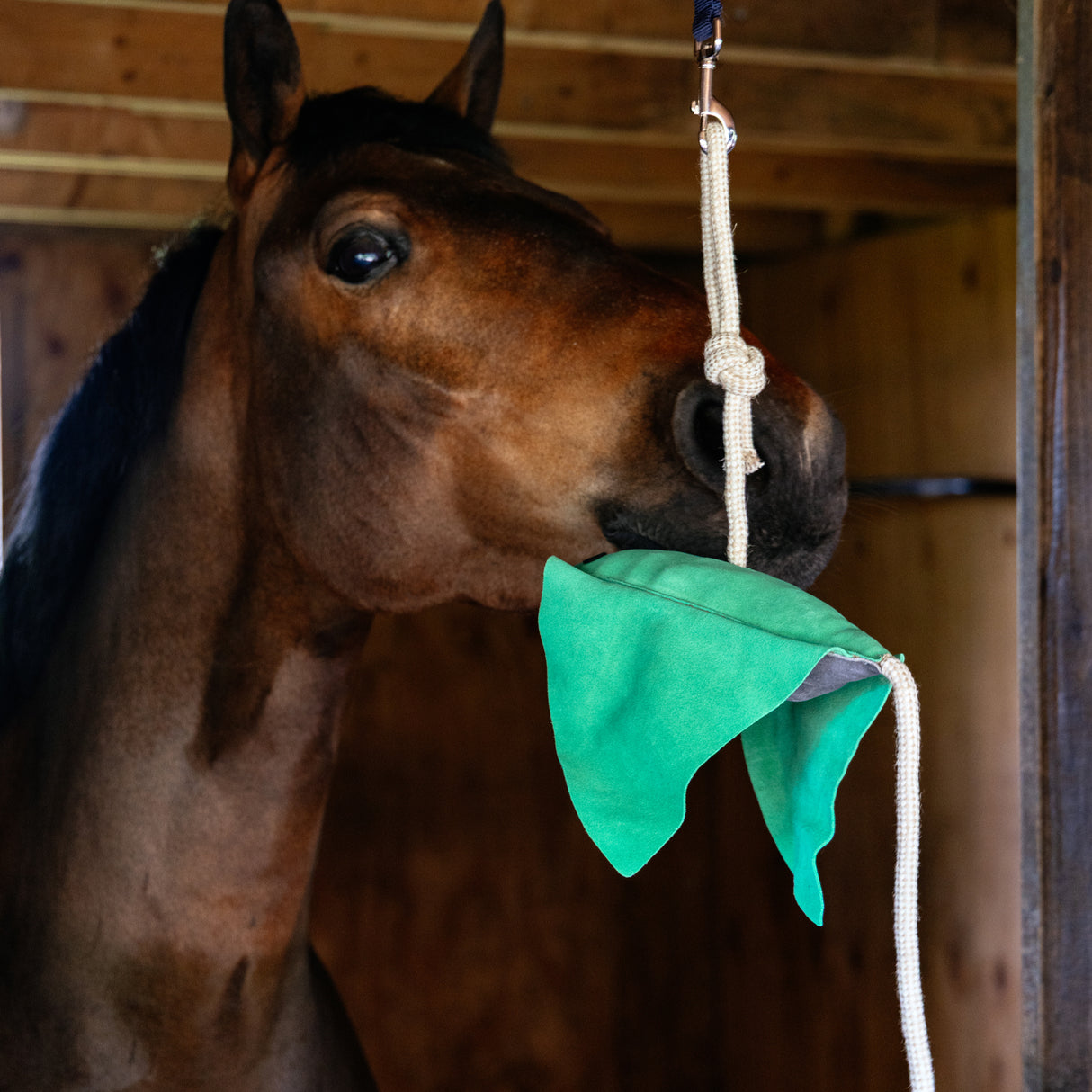 Cheval-jouet Stingray de LeMieux
