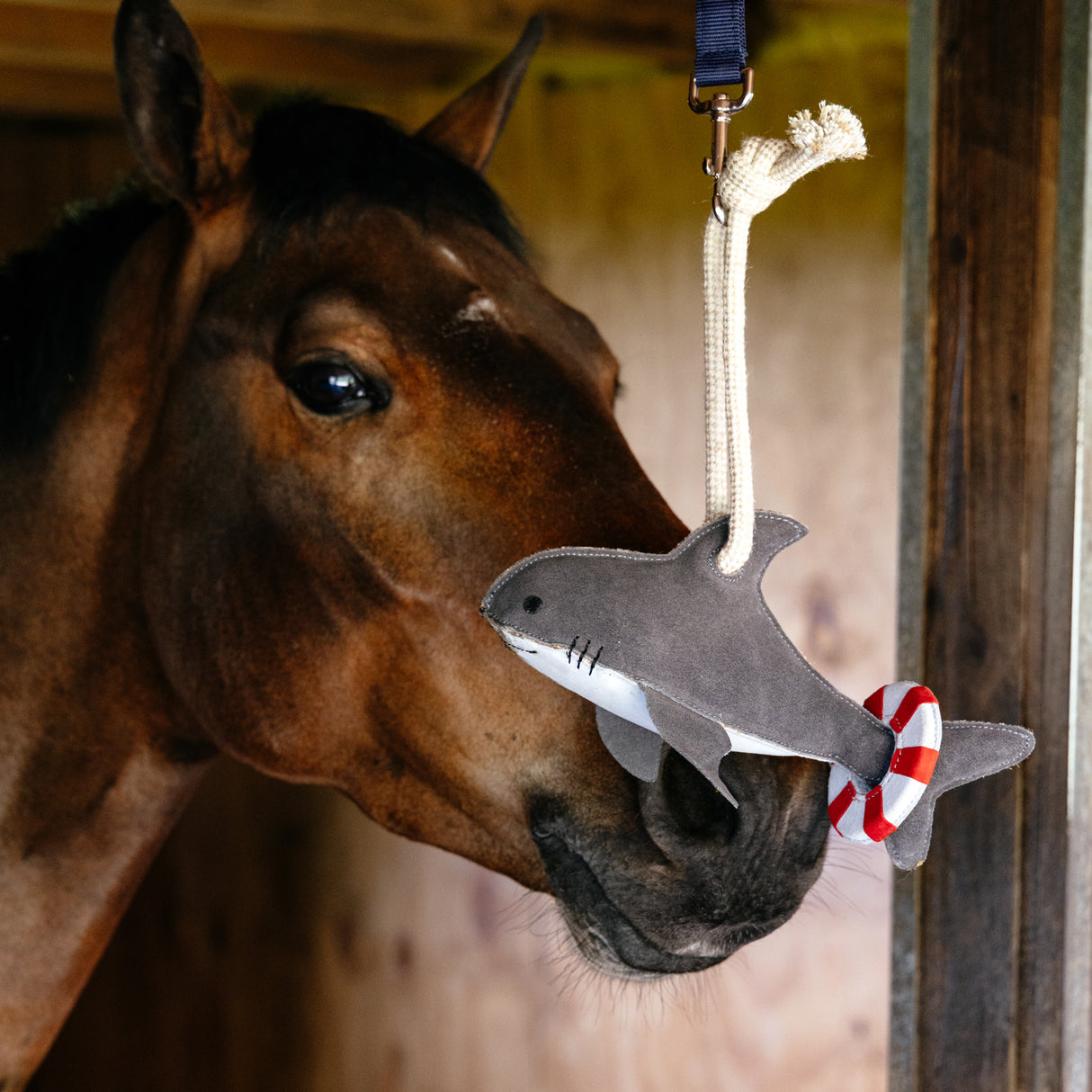 Cheval-requin en jouet LeMieux