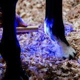 Horseware LED Red Light Therapy Wand
