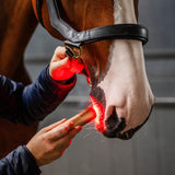 Horseware LED Red Light Therapy Wand