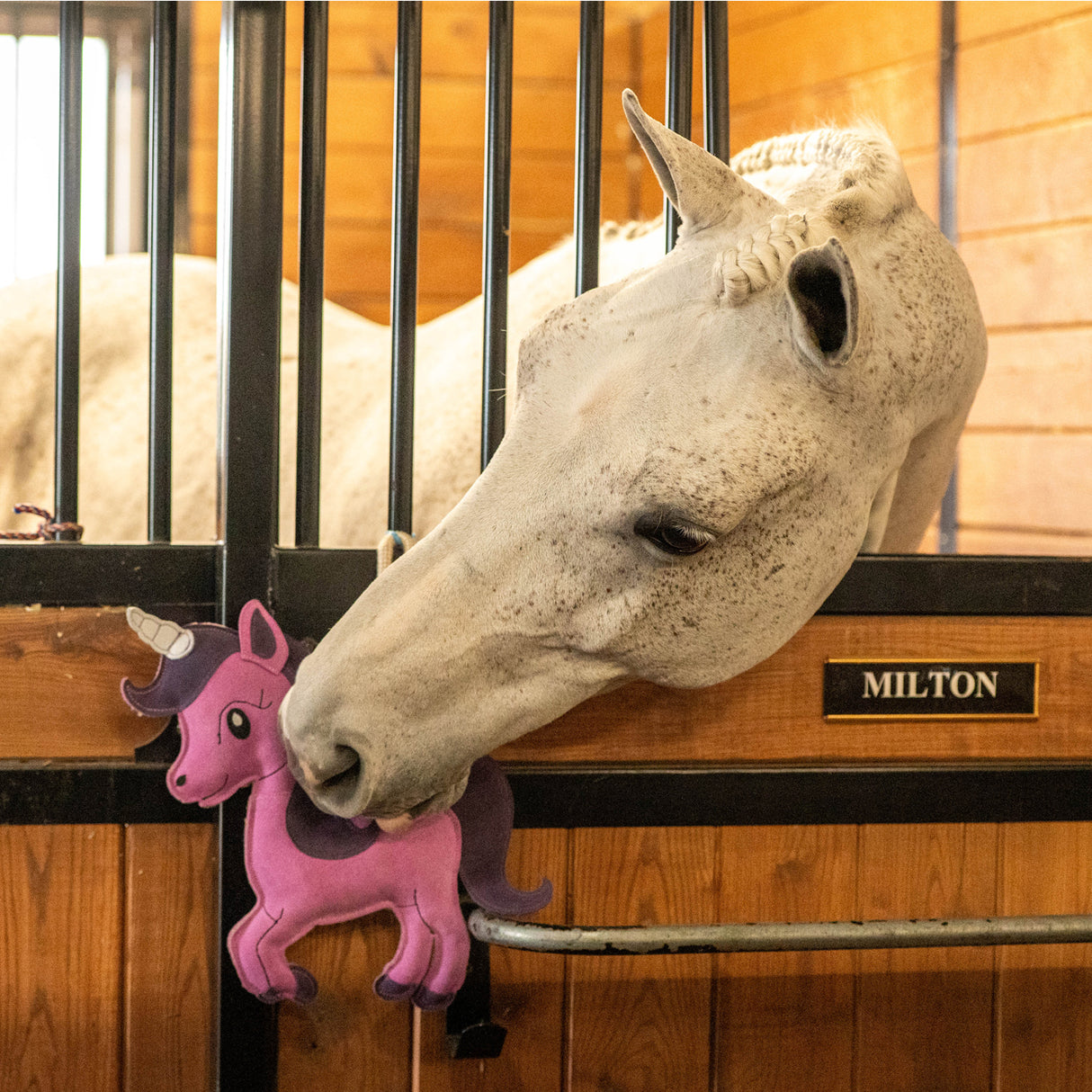 Cheval licorne en jouet Holland James