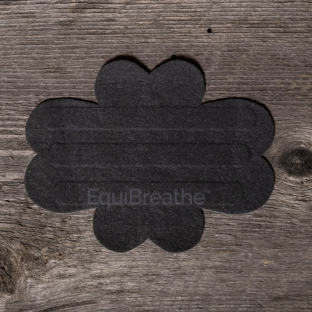Patch nasal Equibreathe