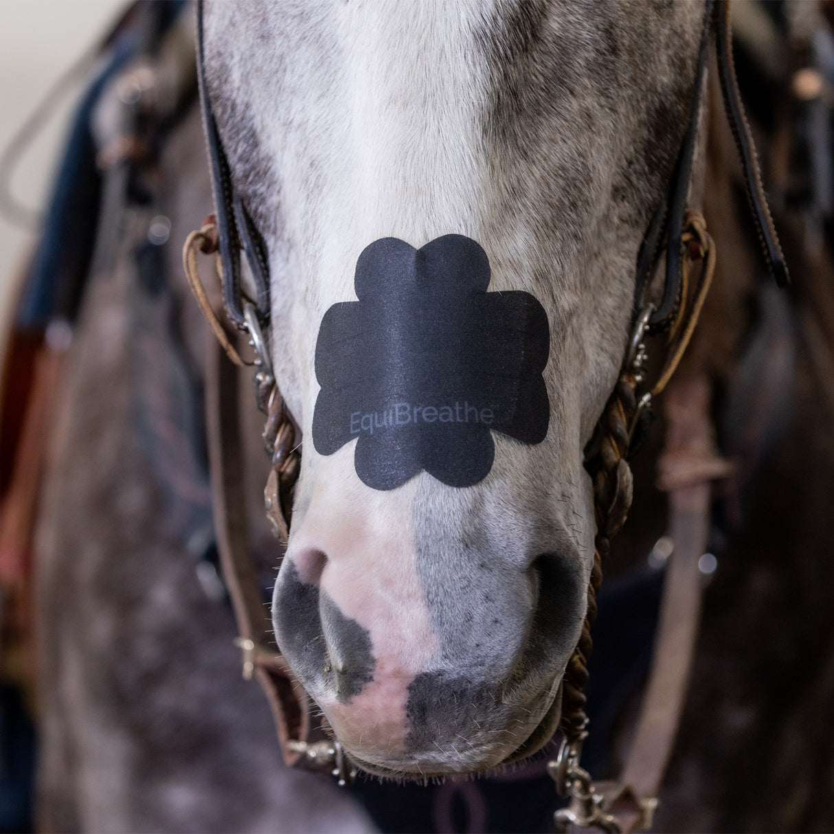 Patch nasal Equibreathe