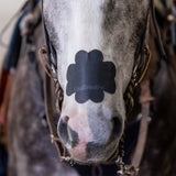 Patch nasal Equibreathe