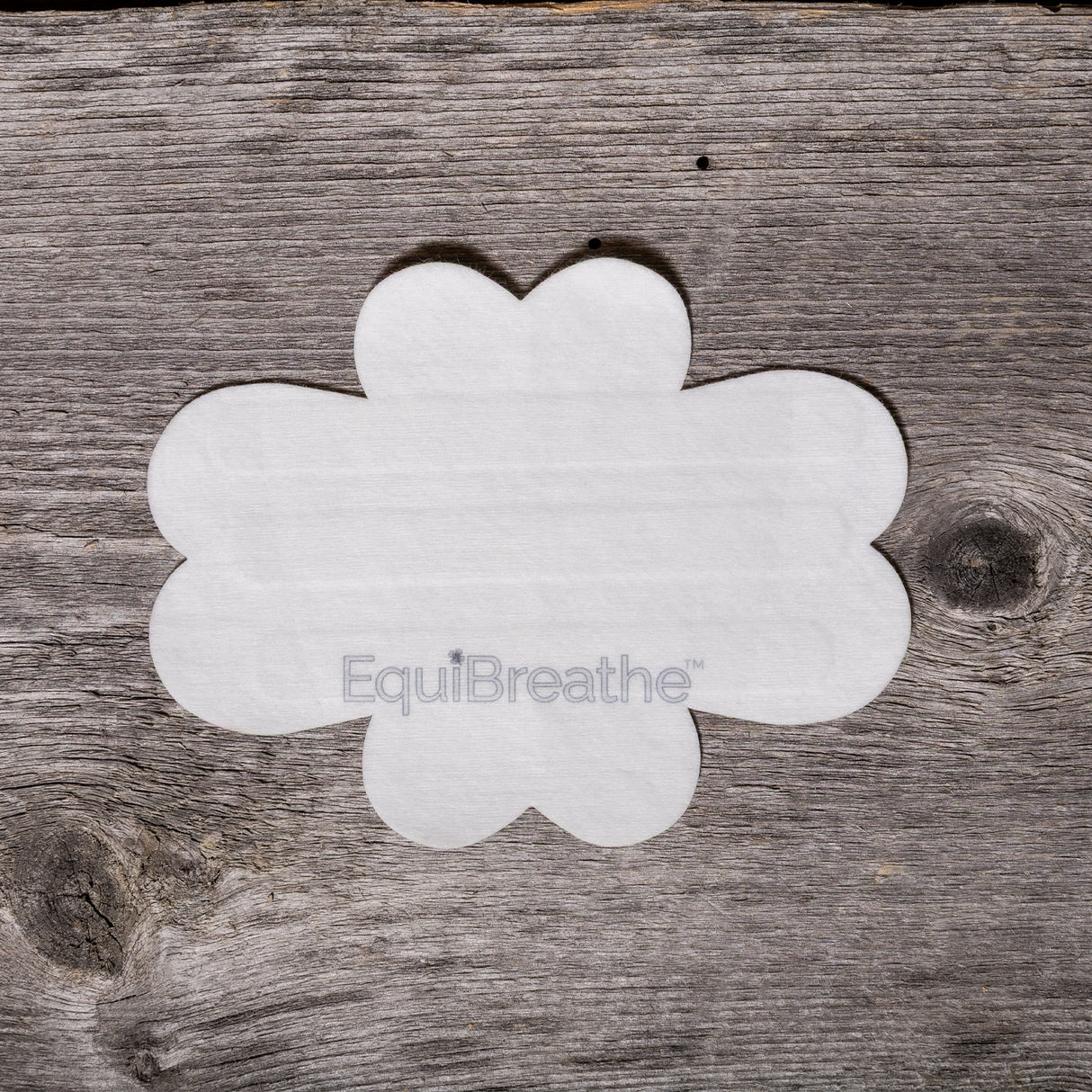 Patch nasal Equibreathe