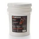 Canpressco Camelina Oil 20 L