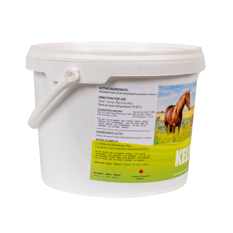 Nutrition équine de base Kelp 1 kg