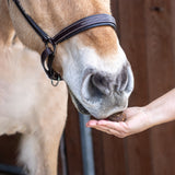 Greenline Nickers Original Muffins Horse Treats
