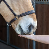 Greenline Nickers Original Muffins Horse Treats