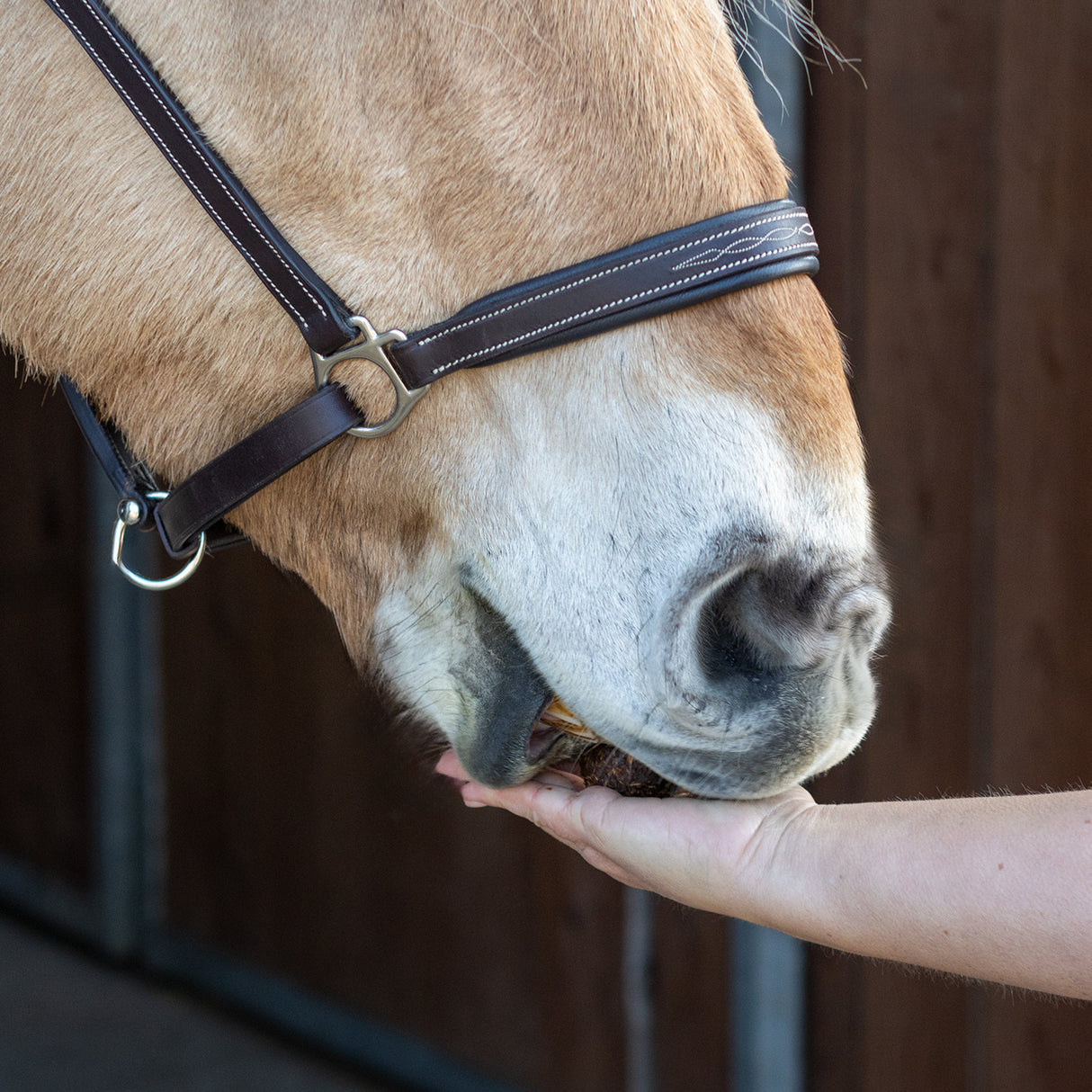 Greenline Nickers Original Muffins Horse Treats