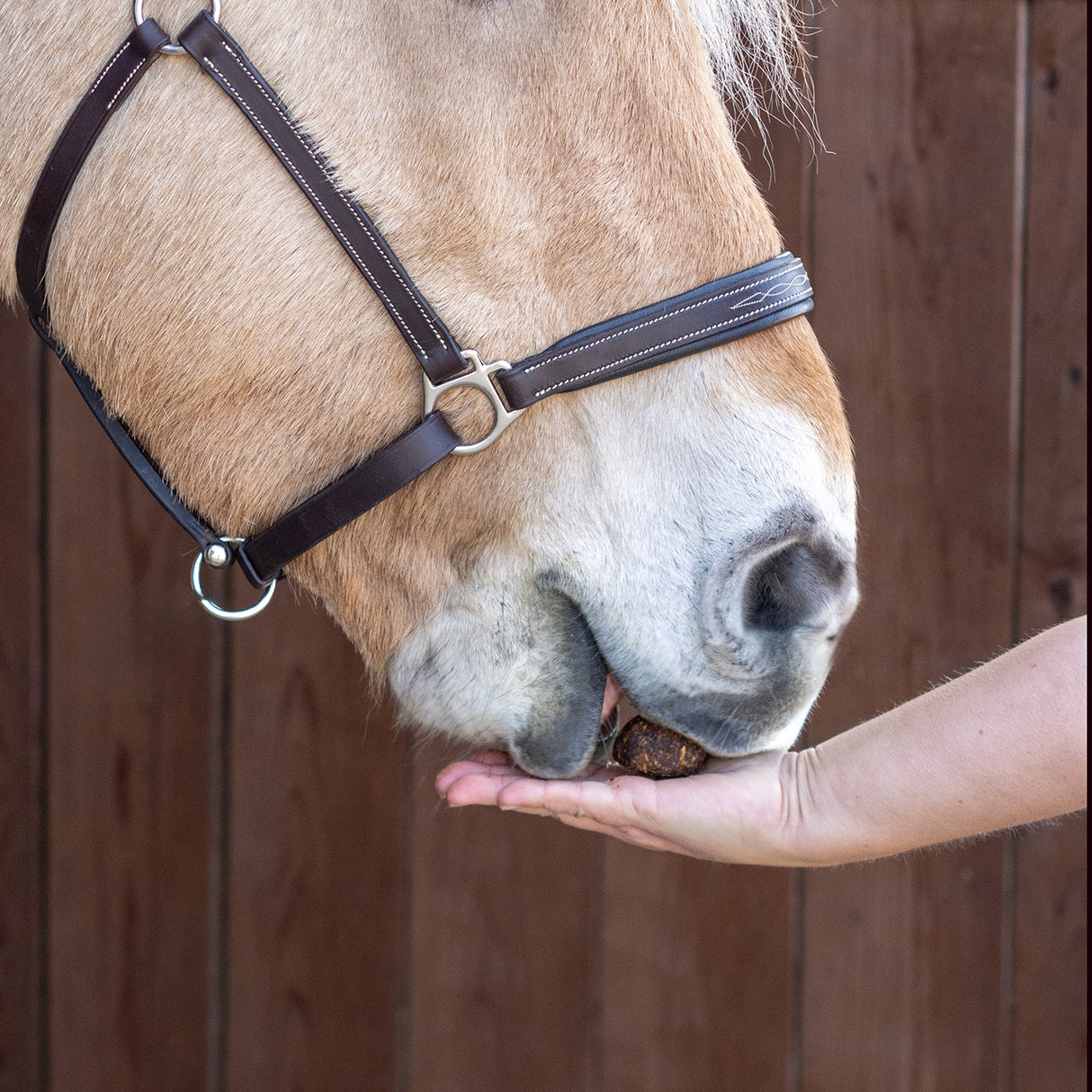 Greenline Nickers Original Muffins Horse Treats