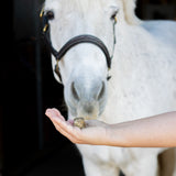 Greenline Nickers Crunchy Cubes Horse Treats