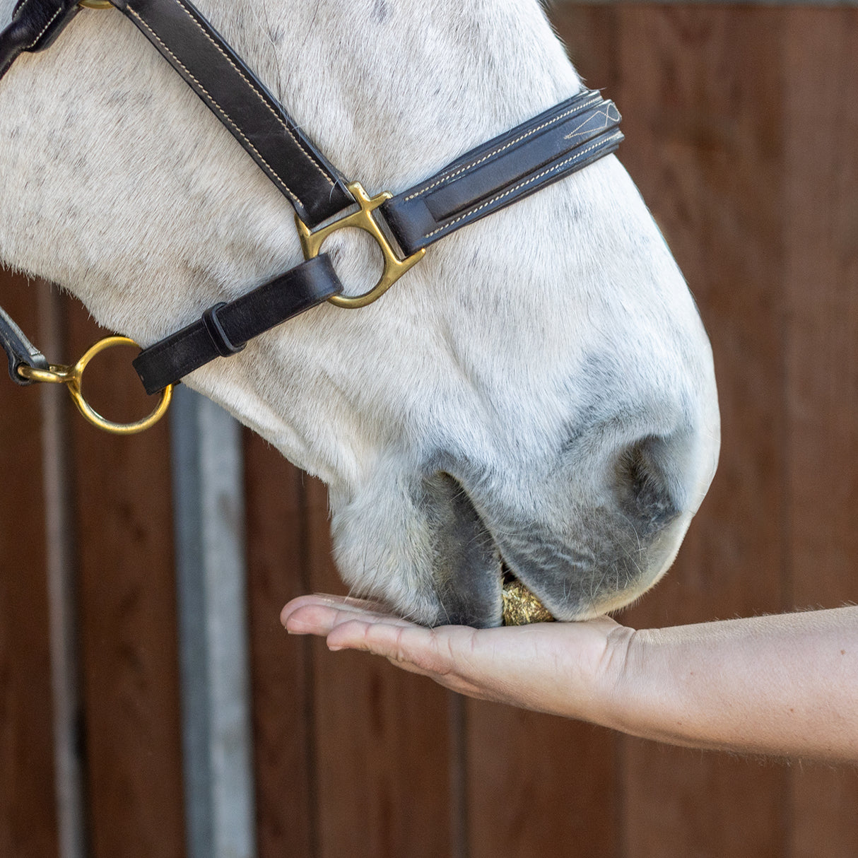 Greenline Nickers Crunchy Cubes Horse Treats
