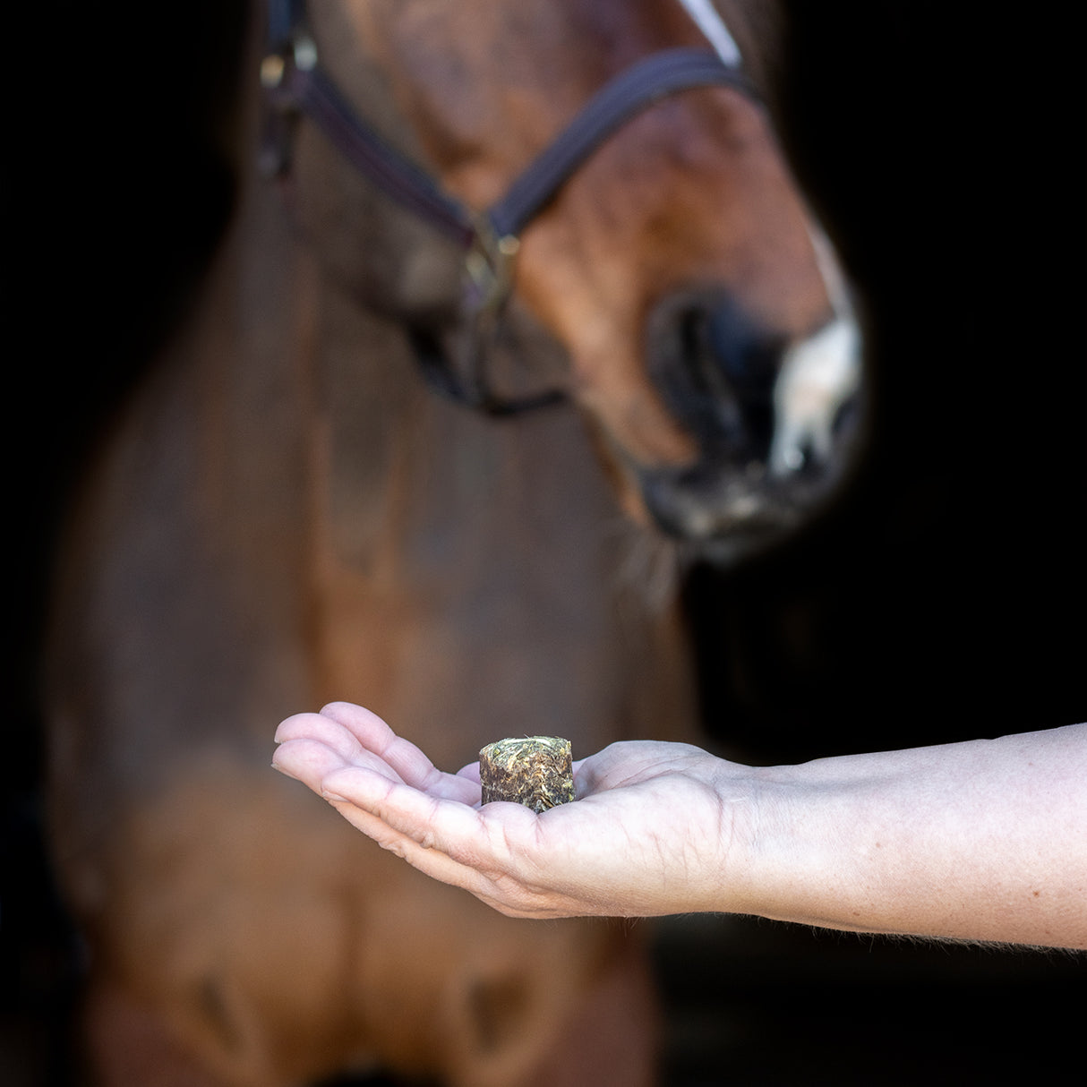 Greenline Nickers Crunchy Cubes Horse Treats