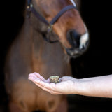 Greenline Nickers Crunchy Cubes Horse Treats