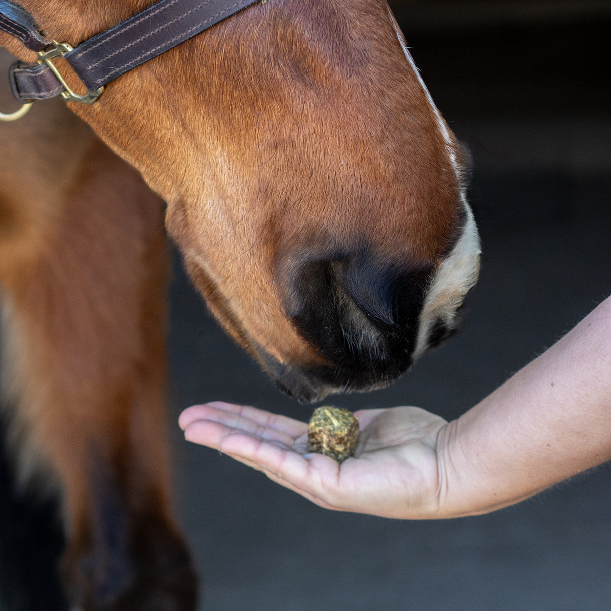 Greenline Nickers Crunchy Cubes Horse Treats