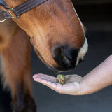 Greenline Nickers Crunchy Cubes Horse Treats
