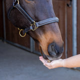 Friandises d'entraînement Greenline Nickers pour chevaux