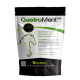 SynNutra GastroMent 600 g