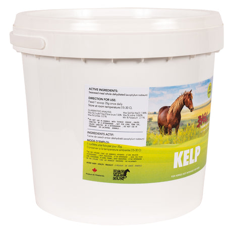 Basic Equine Nutrition Kelp 3 Kg
