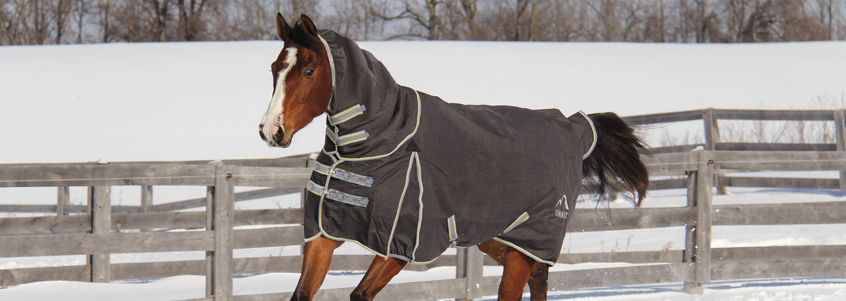 🐎 Dashing through the snow - Greenhawk Equestrian Sport