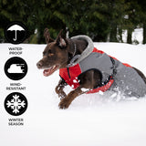 Shedrow K9 Chinook Dog Coat