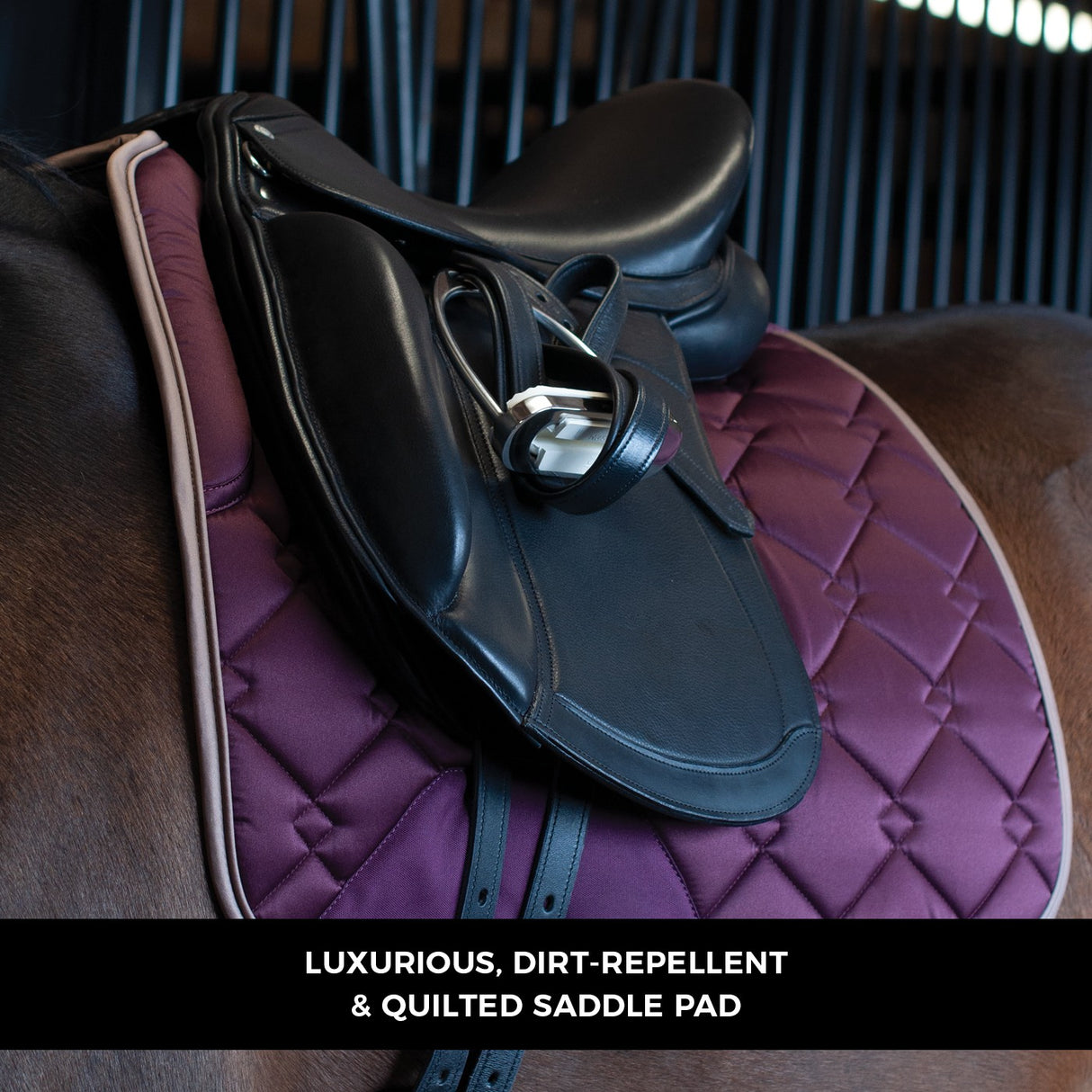 Shedrow Laurent Saddle Pad - Dressage