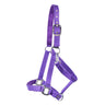 Supra Neoprene Padded Breakaway Halter