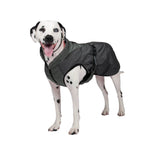 Manteau Shedrow K9 Chinook pour chien