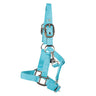 Supra Adjustable Mini Breakaway Halter