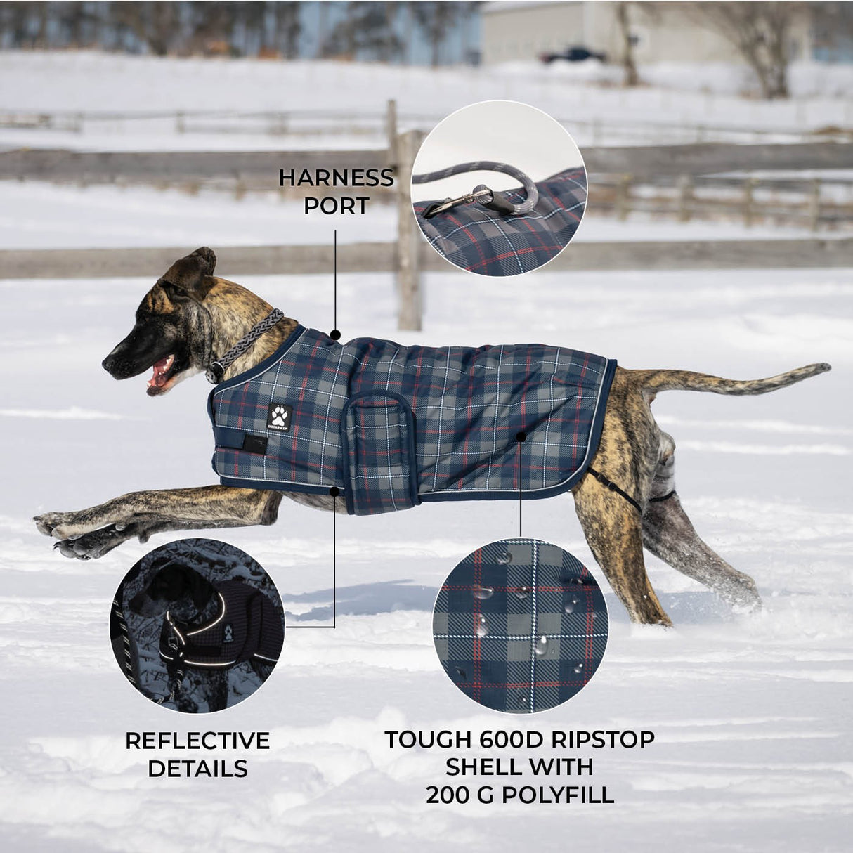 Shedrow K9 Expedition Dog Coat