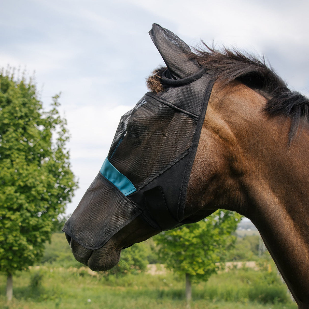 Masque anti-mouches Shedrow avec cache-oreilles et nez