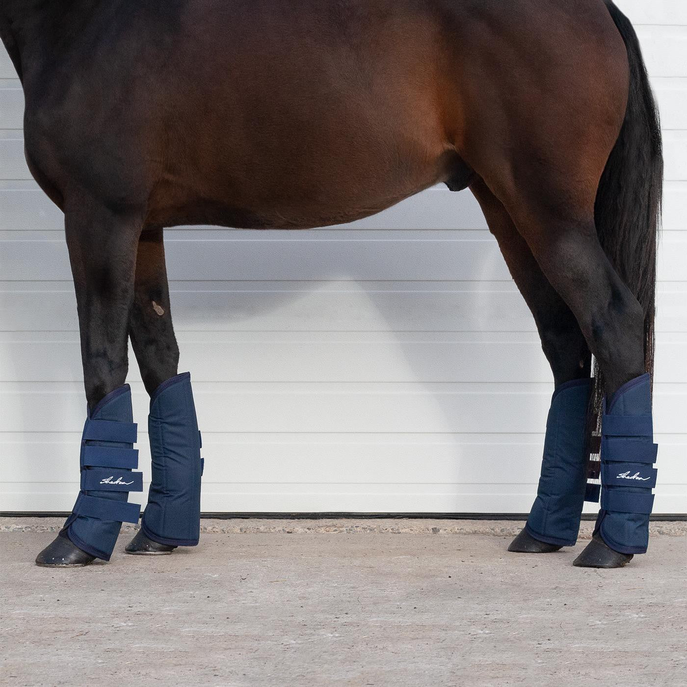 Trailer boots clearance for horses