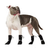 Canada Pooch Soft Shield Bottes