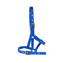 Licou pour poulain Supra