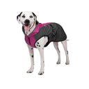 Shedrow K9 Chinook Dog Coat