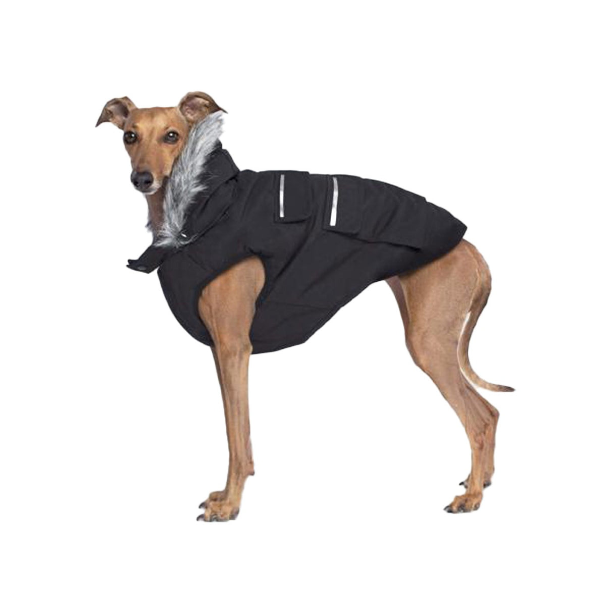 Canada Pooch Everest Explorer Dog Coat