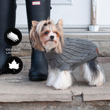 Chandail pour chien en tricot torsadé Shedrow K9 Brentwood