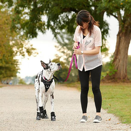 RC Pet Momentum Control Harness