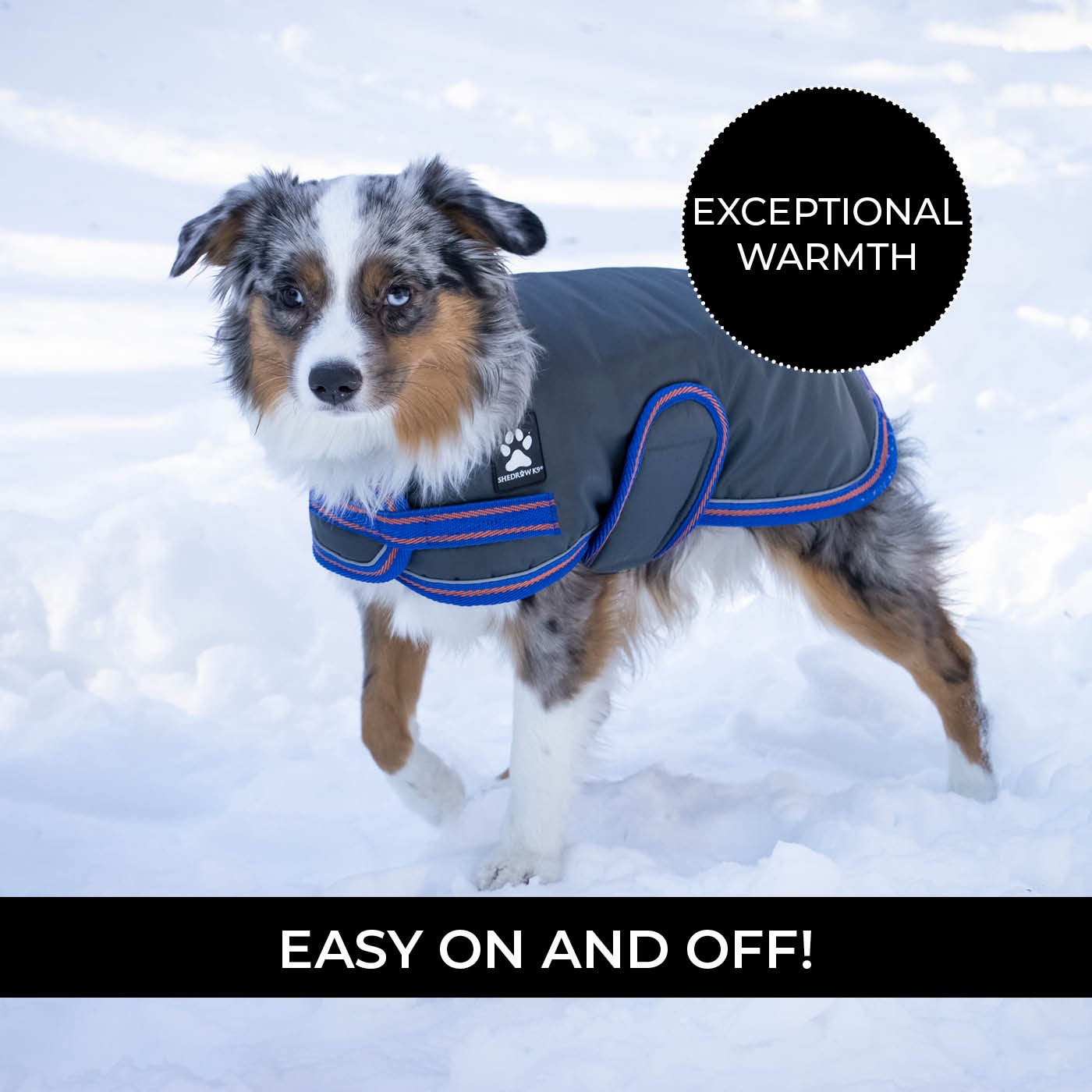Kangaroo hooded jacket Two-Color Loring - Pitbull.eu