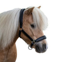 Licou en cuir Star Diamond Waldhausen