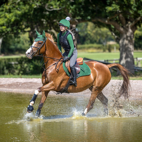 Supra Horse Measuring Stick – Greenhawk Equestrian Sport